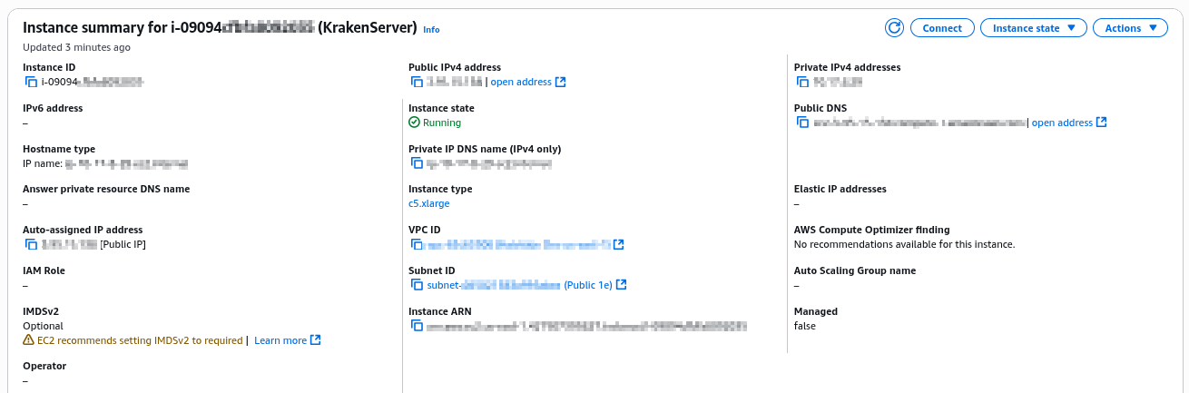 KRAK_AWS Instance Summary Condensed.png