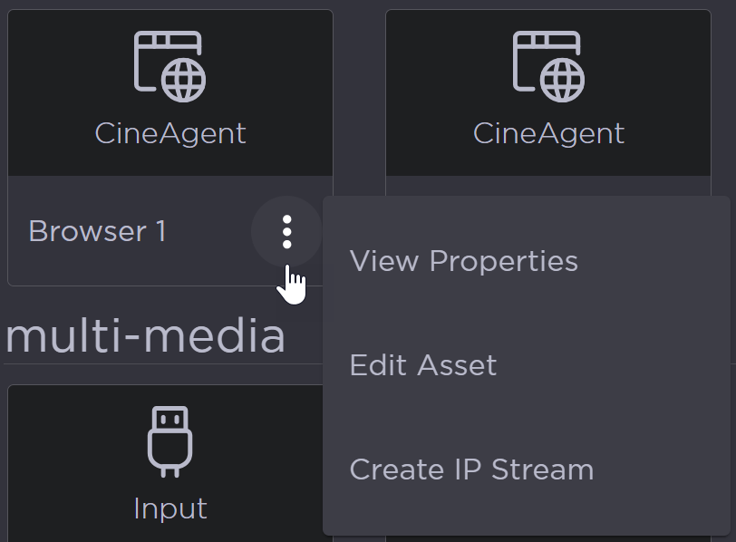 Browser Asset Options